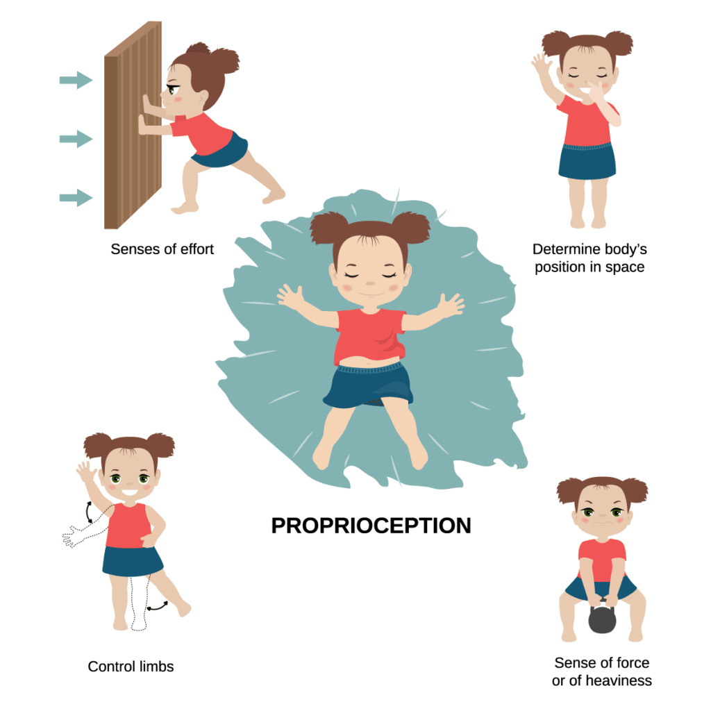 Image of Active and Passive Proprioceptive Input